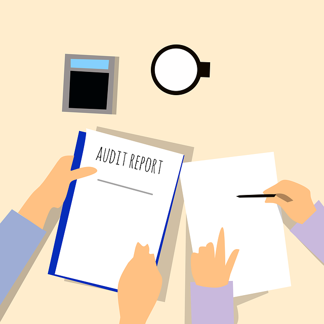Interne Audittraining