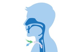 [Niveo] Praktijktraining uitzuigen mond keel en tracheostoma